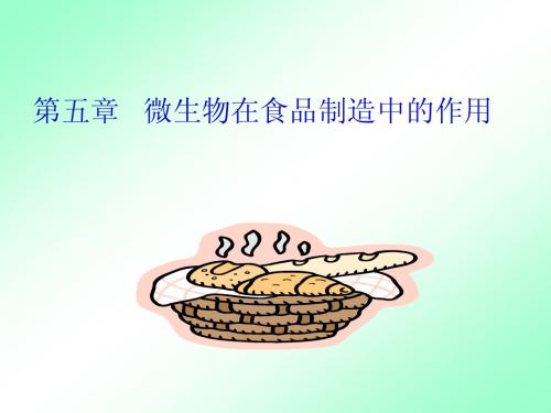 食品微生物学 第五章