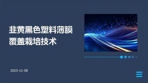 韭黄黑色塑料薄膜覆盖的栽培技术