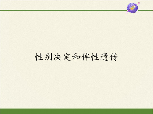高中生物必修二课件-3.2.2性别决定和伴性遗传17-苏教版