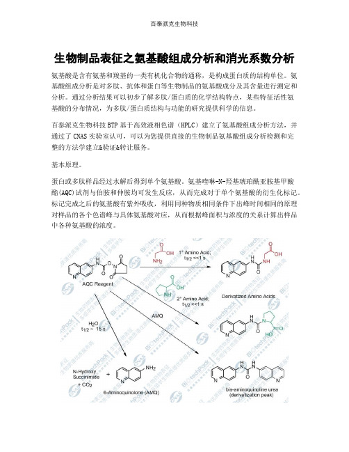 生物制品表征之氨基酸组成分析和消光系数分析