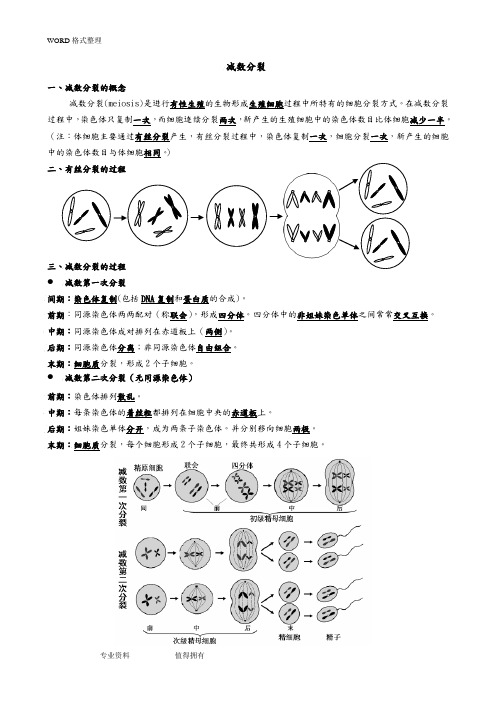 (完整版)减数分裂知识点归纳及试题