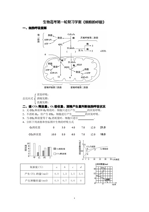 高考第一轮复习学案《细胞的呼吸》