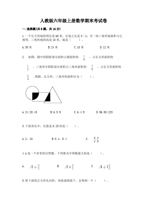 人教版六年级上册数学期末考试卷及完整答案1套