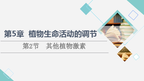 高中生物新人教版选择性必修1其他植物激素(45张)课件