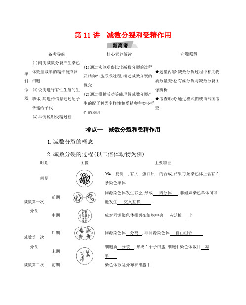 高考生物一轮复习 第4单元 第11讲 减数分裂和受精作用教案-人教版高三全册生物教案