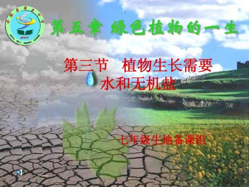 苏教版七年级生物上册第五章第三节《植物生长需要水和无机盐》1课时课件