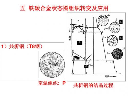 金属工艺学_第一篇_金属材料的基础知识下