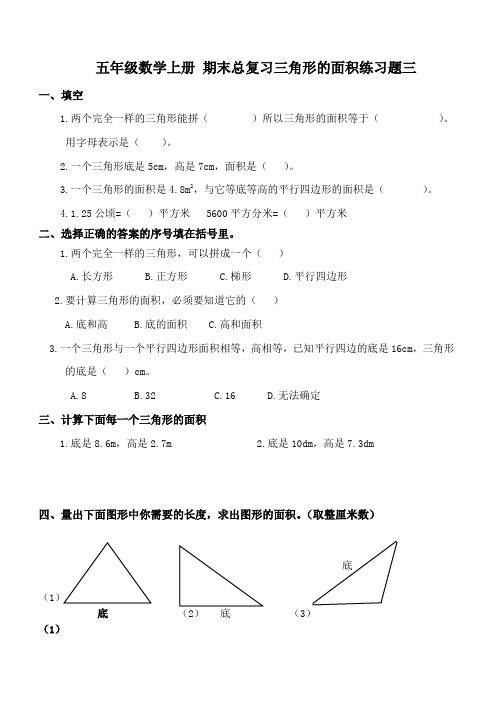 北师大版五年级数学上册 期末总复习三角形的面积练习题三