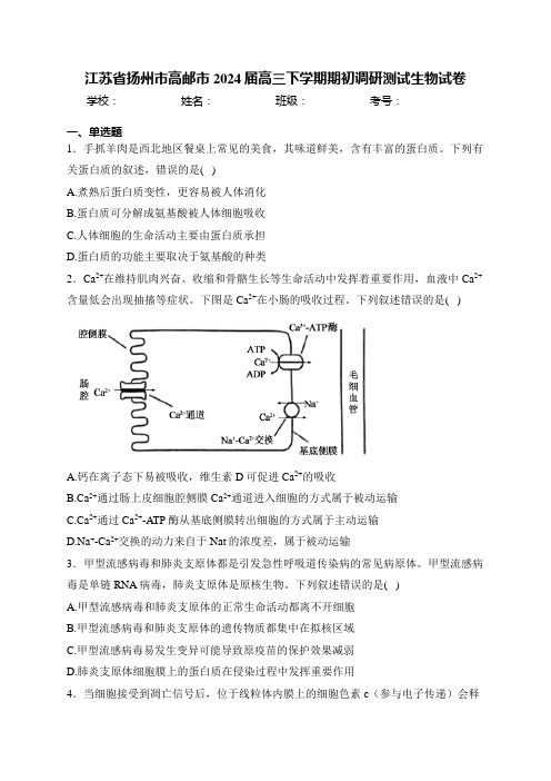 江苏省扬州市高邮市2024届高三下学期期初调研测试生物试卷(含答案)