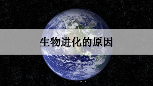 《生物进化的原因》PPT课件