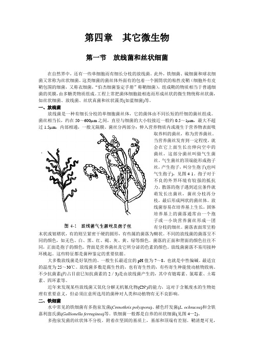 水处理微生物学 第四章  其它微生物