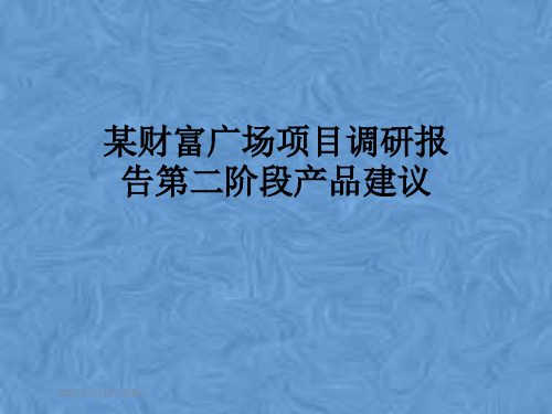 某财富广场项目调研报告第二阶段产品建议