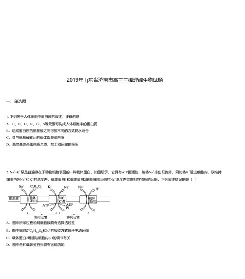 2019年山东省济南市高三三模理综生物试题