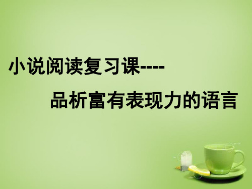 九年级语文下册品析富有表现力的语言课件新人教版