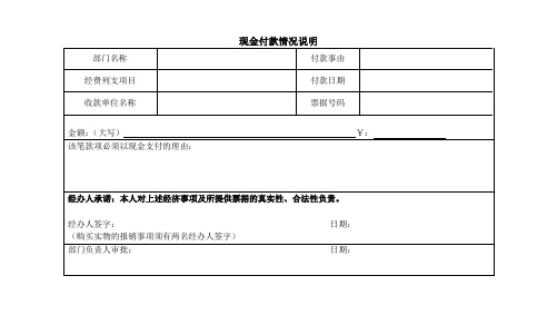 现金付款情况说明