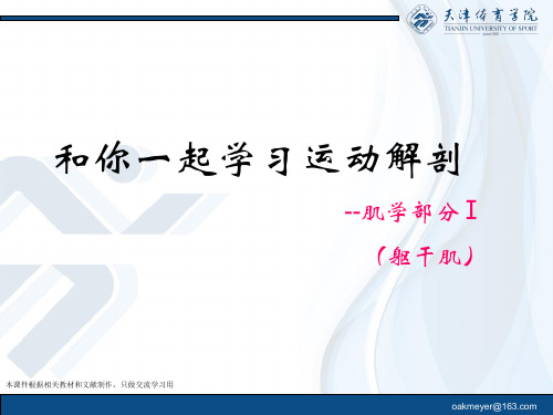 和你一起学习运动解剖-肌学部分