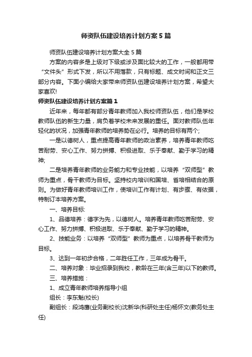 师资队伍建设培养计划方案5篇