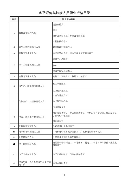 水平评价类技能人员职业资格目录