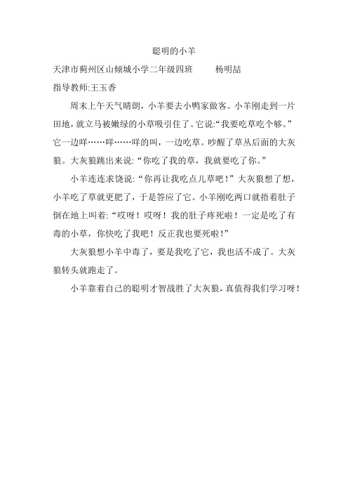聪明的小羊 杨明喆