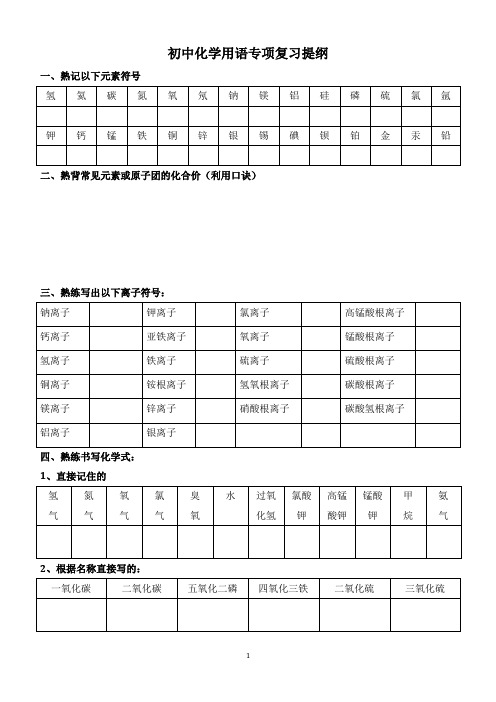 初三化学化学用语专项复习提纲