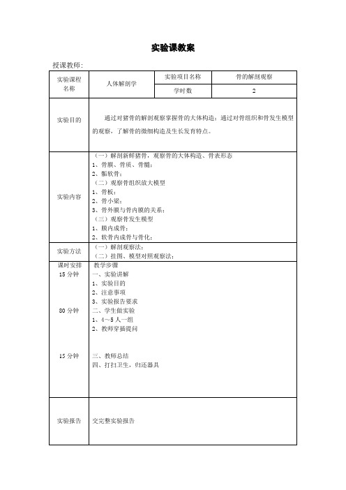 人体解剖学实验课教案