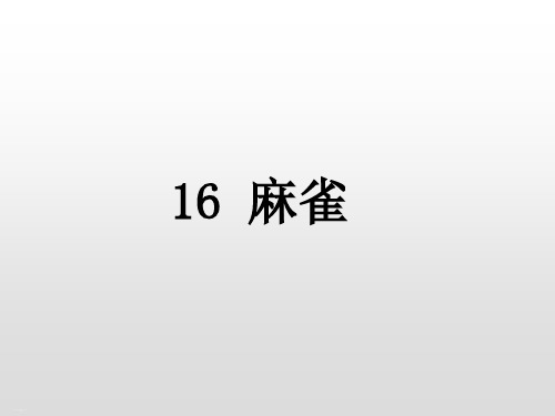 部编版四年级上册-麻雀ppt教学课件1