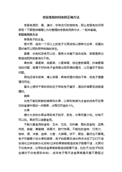 老鼠兔如何饲养的正确方法