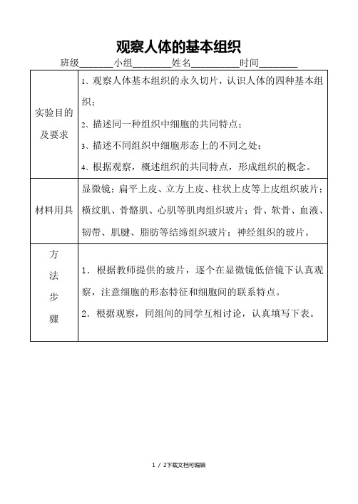 观察人体的基本组织实验报告