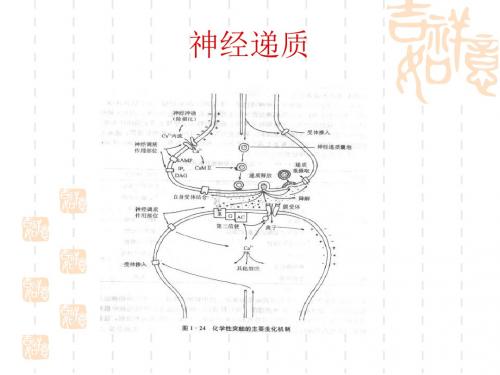 生理心理学第一章C