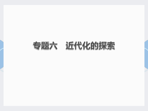 2020届中考历史总复习课件：专题六 近代化的探索(共24张PPT)