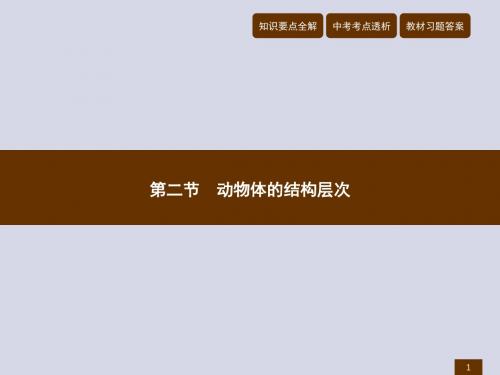 (2017秋)七年级上册生物(人教版)优质课件-2.2.2 动物体的结构层次 (共19张PPT)