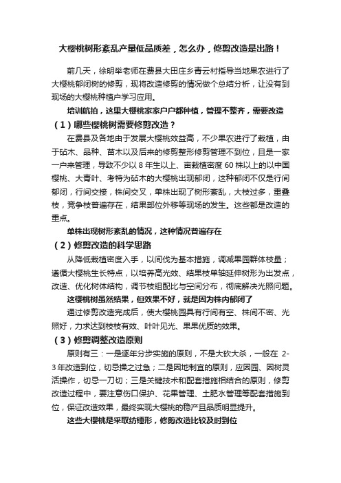 大樱桃树形紊乱产量低品质差，怎么办，修剪改造是出路！