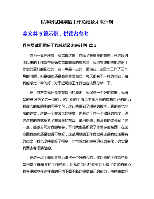 程序员试用期后工作总结及未来计划