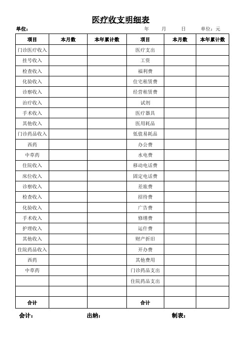 民营医院医疗收支明细表