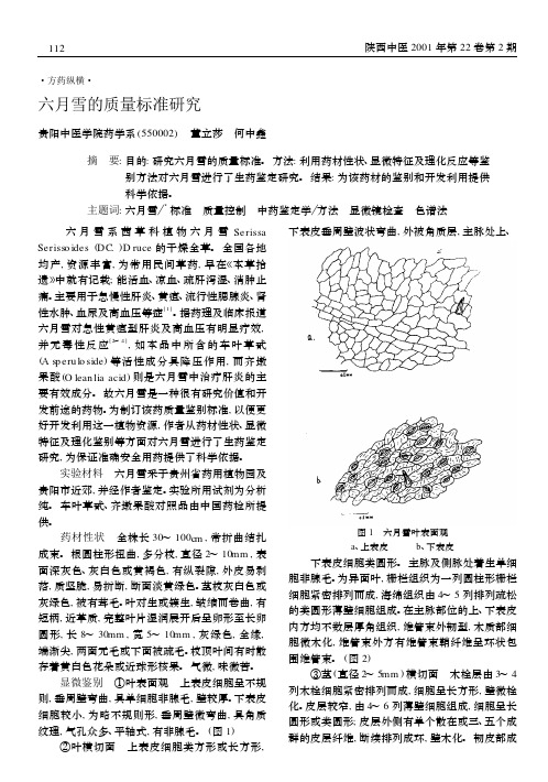 六月雪的质量标准研究