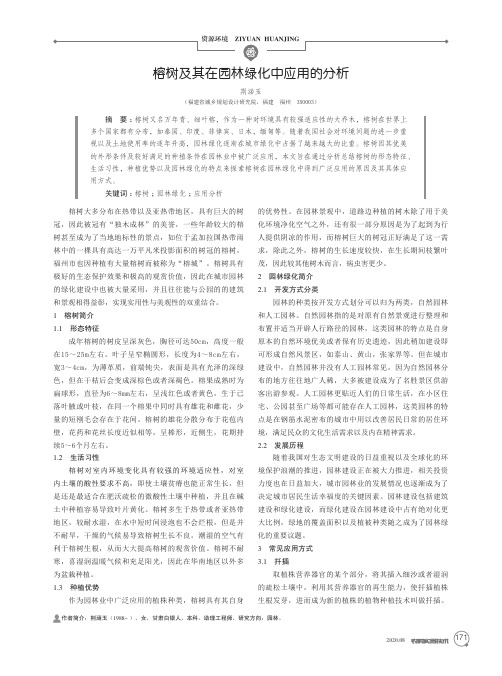 榕树及其在园林绿化中应用的分析