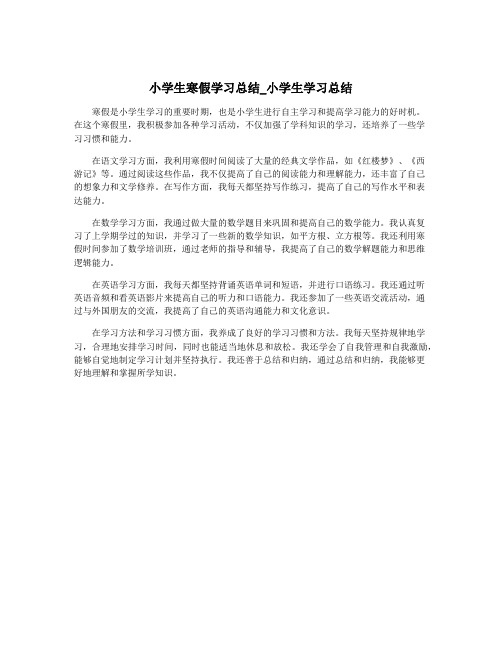 小学生寒假学习总结_小学生学习总结