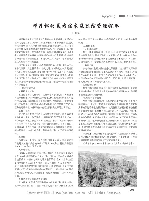 樟子松的栽培技术及预防管理探思