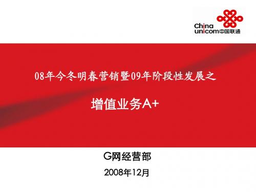 通信-中国联通2008年今冬明春营销暨2009年阶段性发展之增值业务A+