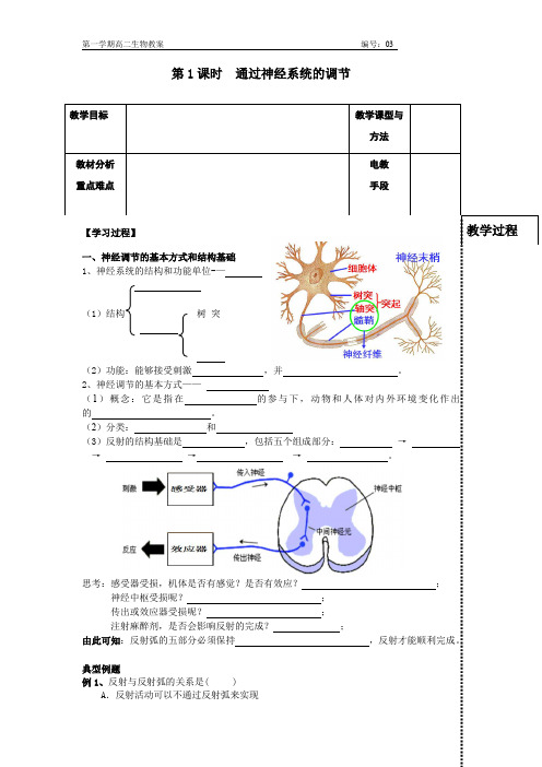 《通过神经系统的调节》教学设计-优秀教案