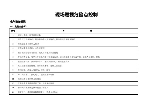 现场巡视危险点控制