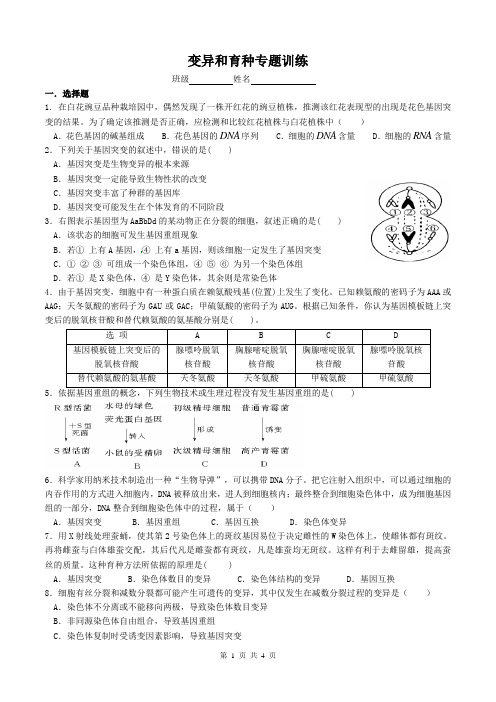 生物的变异与育种专题训练试题