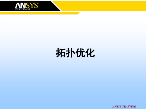 拓扑优化-PPT文档资料