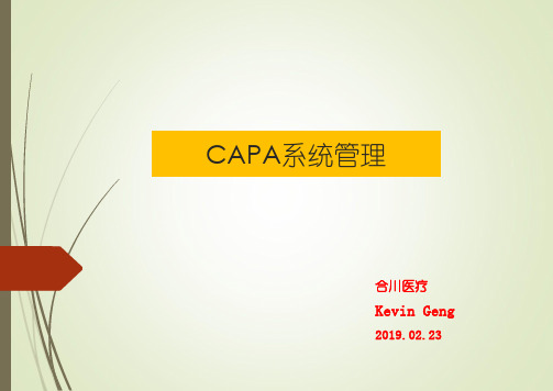 CAPA系统管理