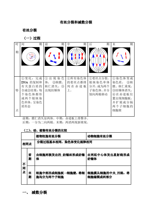 高考生物复习—有丝分裂-减数分裂知识详解