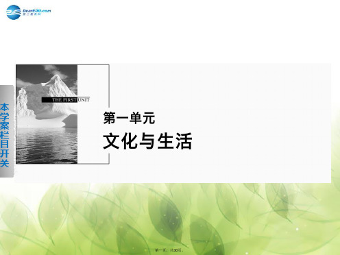 高中政治 1.1.1 体味文化课件 新人教版必修3[1]