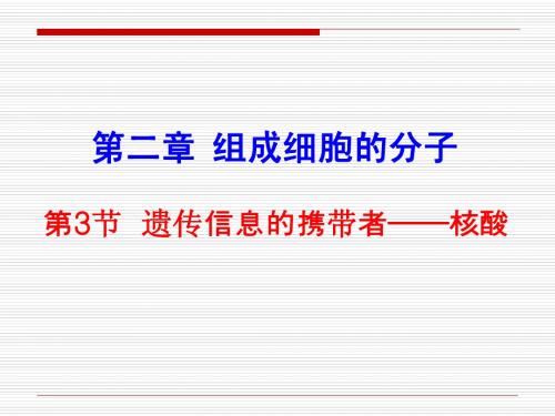 2010届高三生物精品课件：第二章  第三节 遗传信息的携带者—核酸