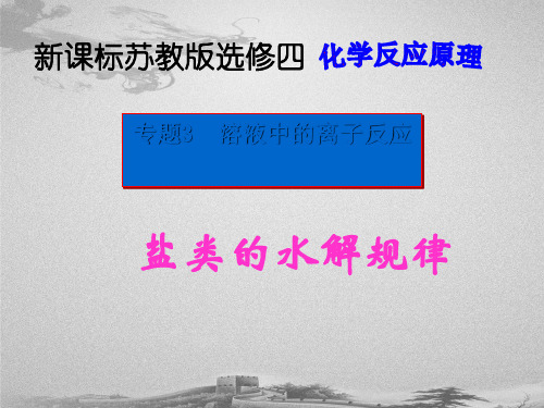 苏教化学选修 化学反应原理专题3 第三单元盐 类 的 水 解(共16张PPT)