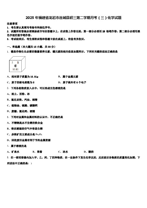 2025年福建省龙岩市连城县初三第二学期月考(三)化学试题含解析