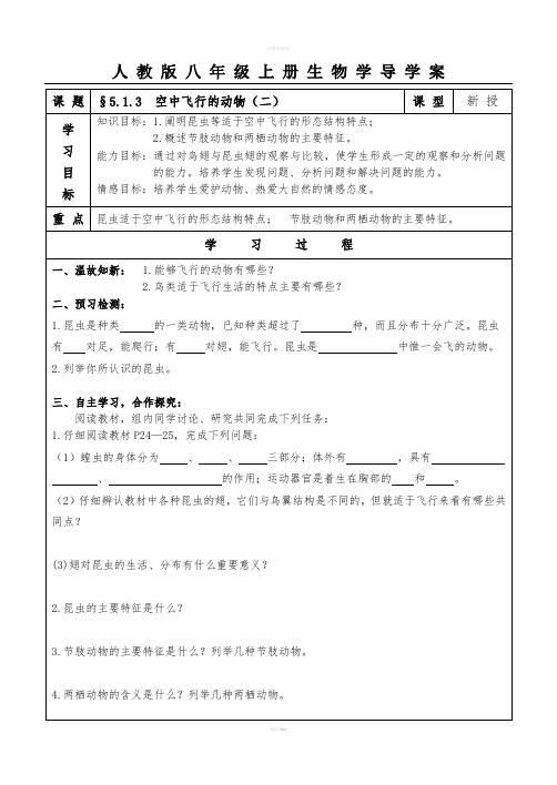 §5.1.3空中飞行的动物(二)